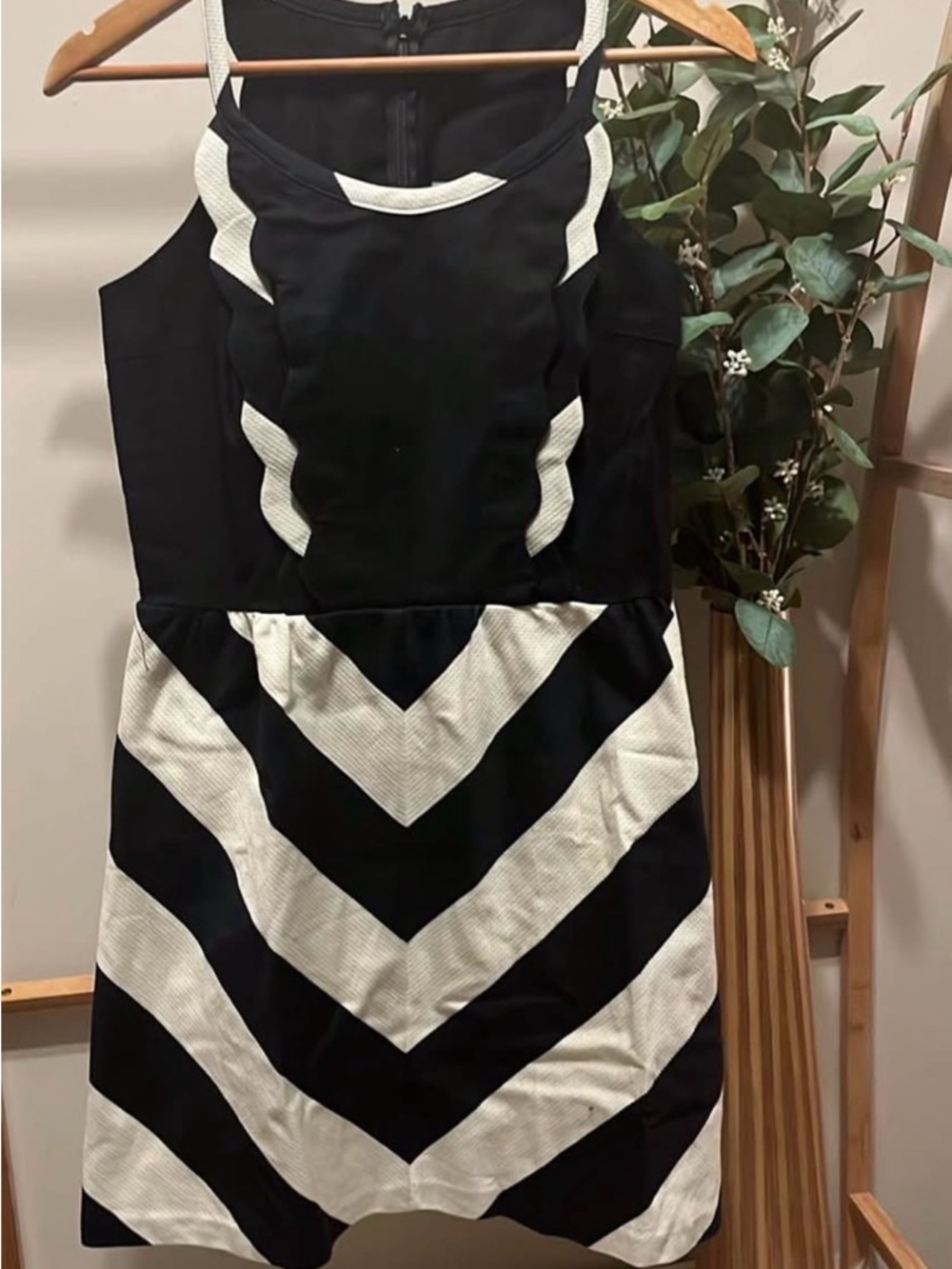 Judith MarchBlack and White Chevron Fit-and-Flare Dress